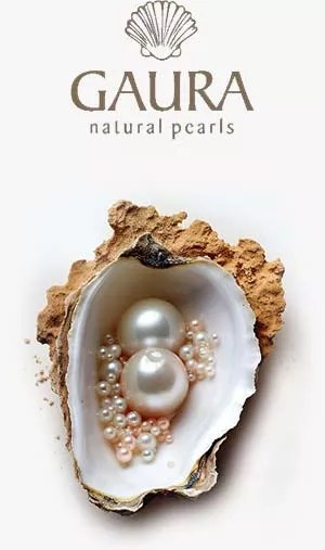 Gaura Pearls Logo und Muschel